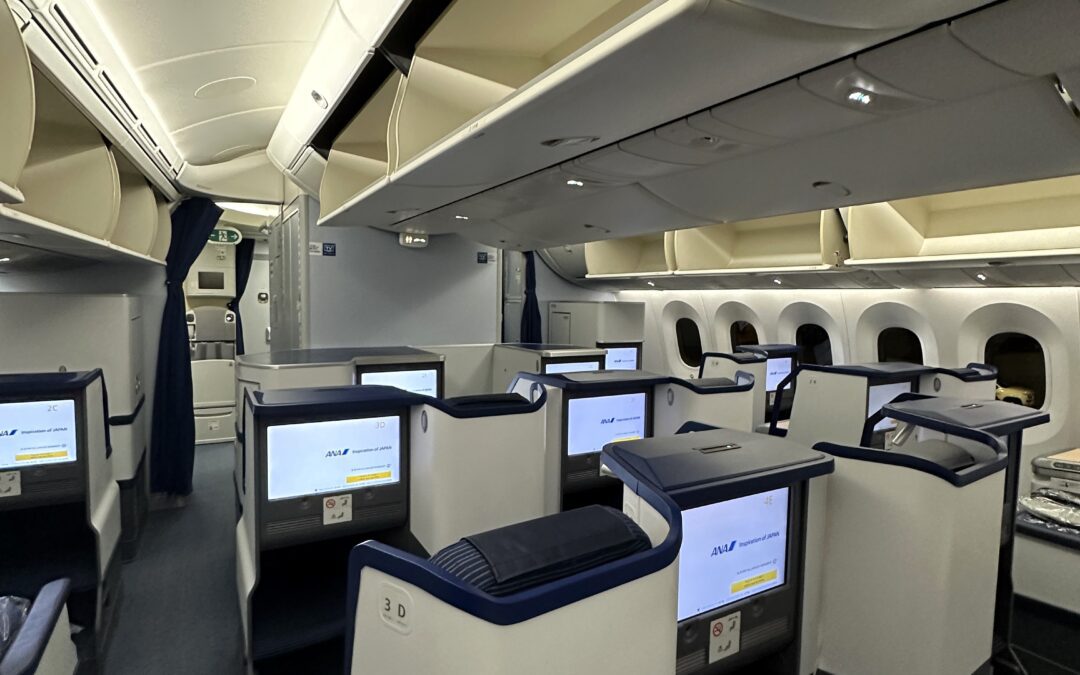 ANA Flight Review: All Nippon Airways Sparks Joy in the Sky, especially if you win free tickets