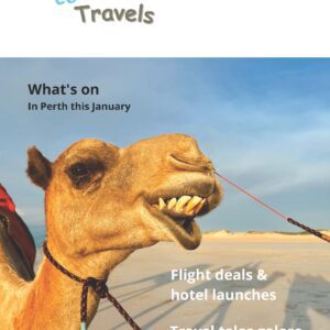 Fluffy Towel Travel Newsletter 4