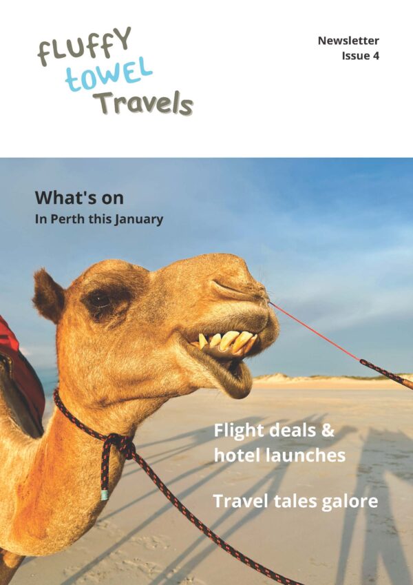 Fluffy Towel Travel Newsletter 4